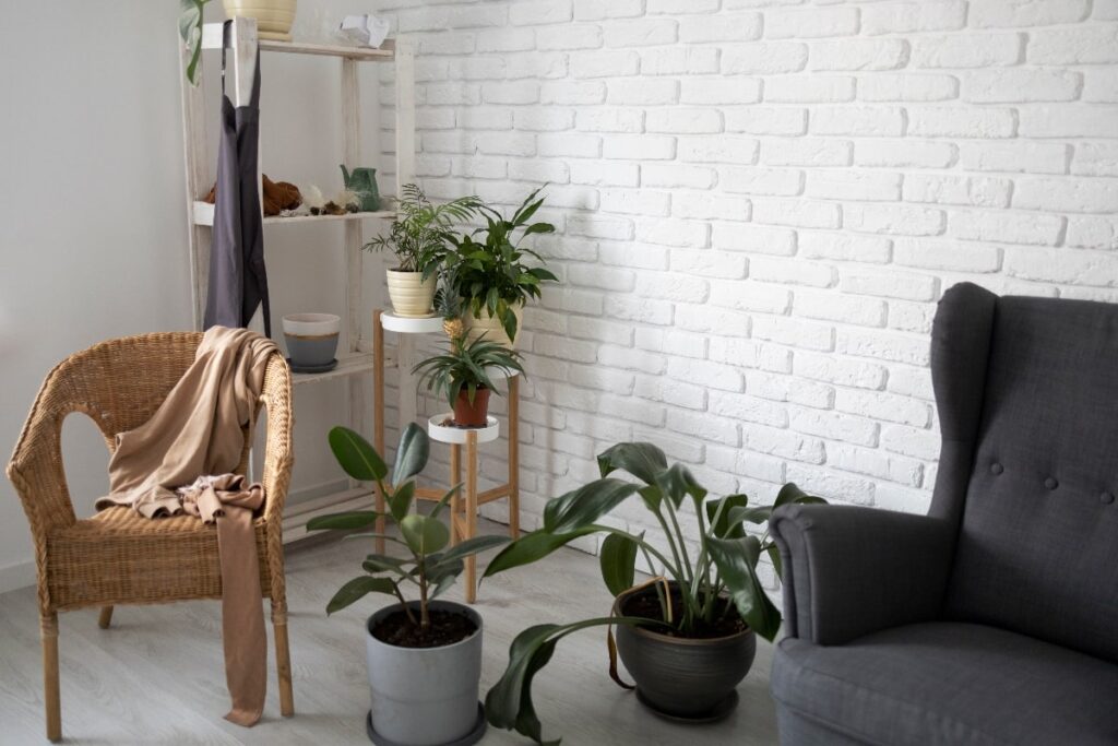 Scandinavian Living accesories