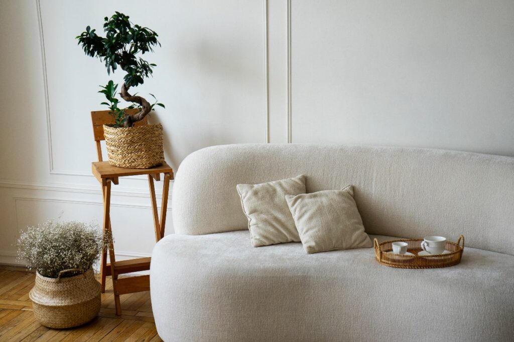 Living room Rustic style